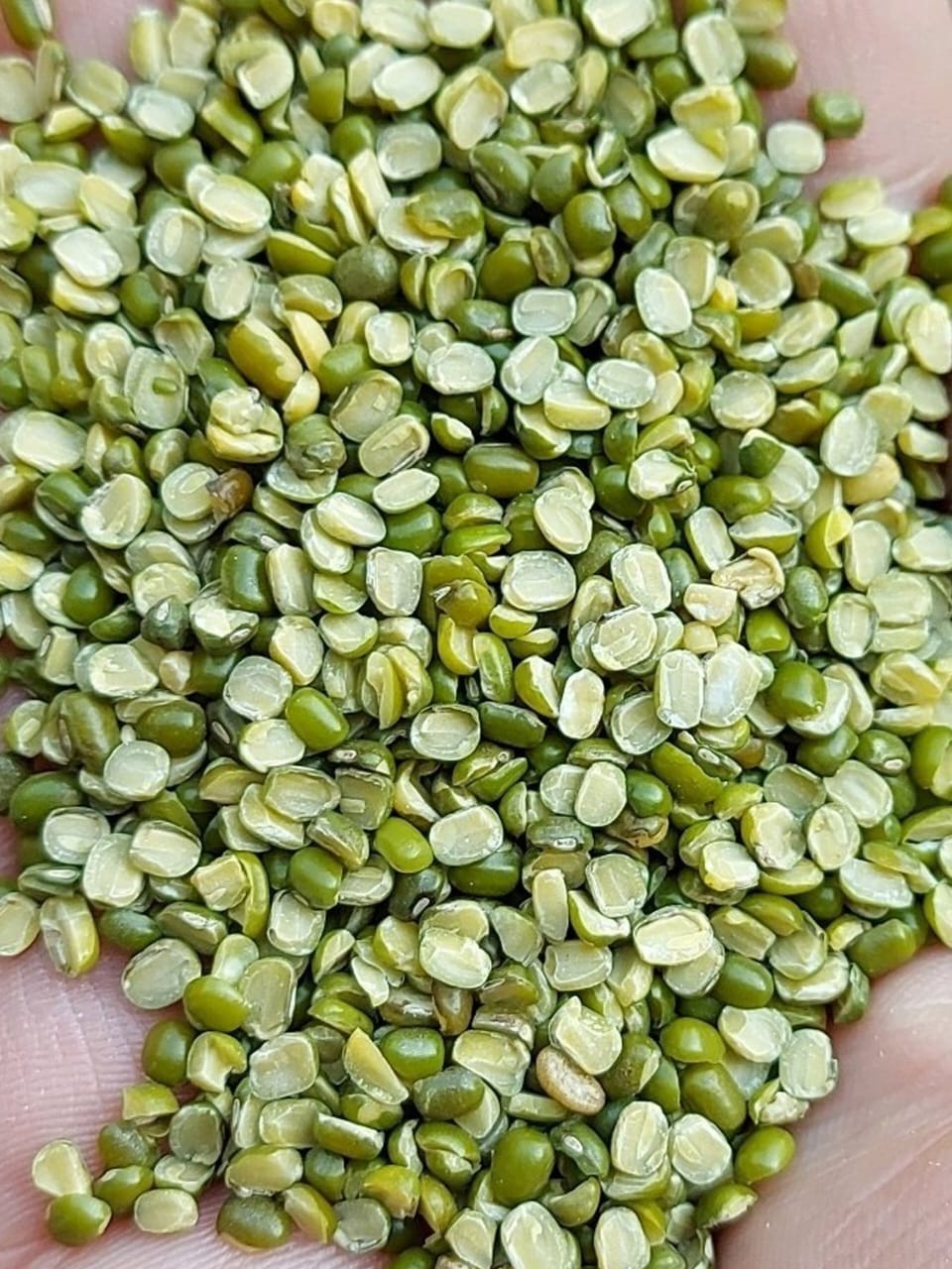 Moong Dal